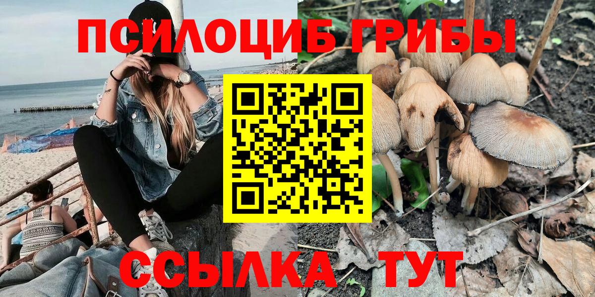 где купить наркоту  Галлюциногенные грибы мицелий  Вход с VPN  Сыктывкар  Галлюциногенные грибы Psilocybe 