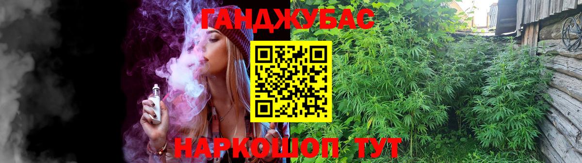 Бошки Шишки план Сыктывкар